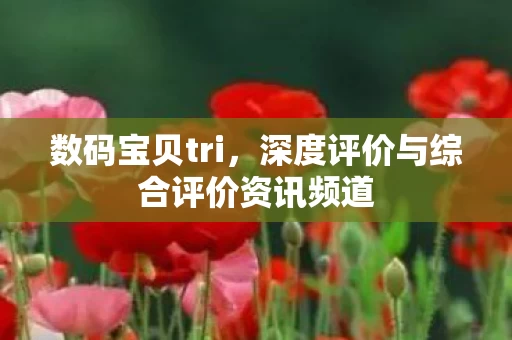 深度评价与综合评价资讯频道图片