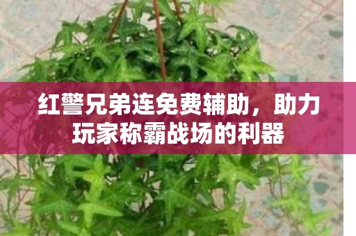 助力玩家称霸战场的利器图片