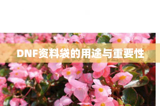 DNF资料袋的用途与重要性图片
