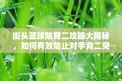 街头篮球防背二攻略大揭秘图片