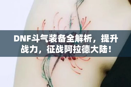 DNF斗气装备全解析图片