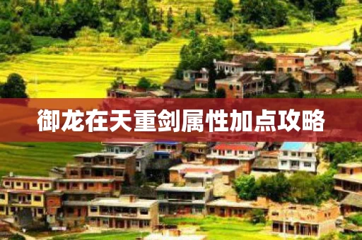 御龙在天重剑属性加点攻略图片