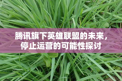 腾讯旗下英雄联盟的未来图片