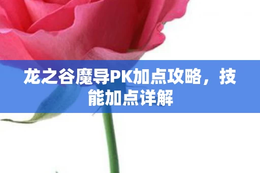 龙之谷魔导PK加点攻略图片