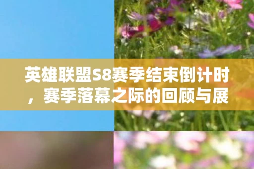 英雄联盟S8赛季结束倒计时图片