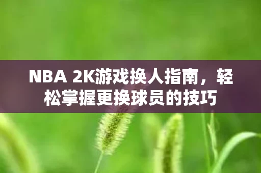 NBA 2K游戏换人指南图片