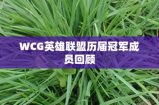 WCG英雄联盟历届冠军成员回顾图片