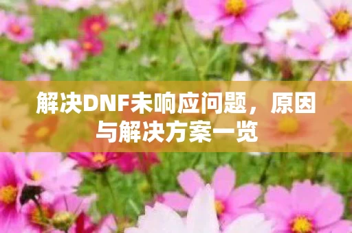 解决DNF未响应问题图片