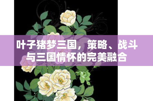 战斗与三国情怀的完美融合图片