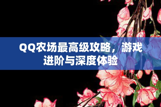 QQ农场最高级攻略图片