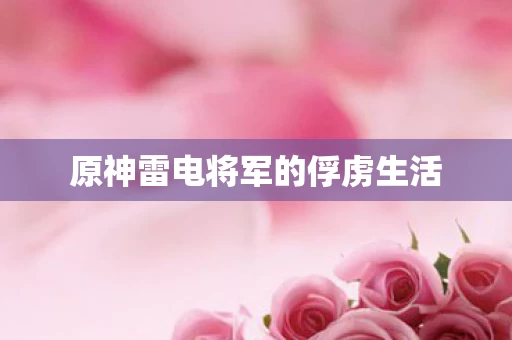 原神雷电将军的俘虏生活图片