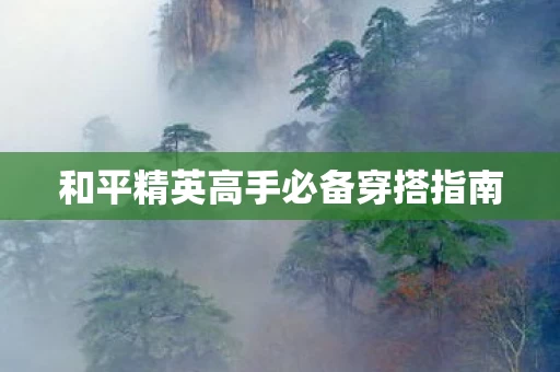 和平精英高手必备穿搭指南图片