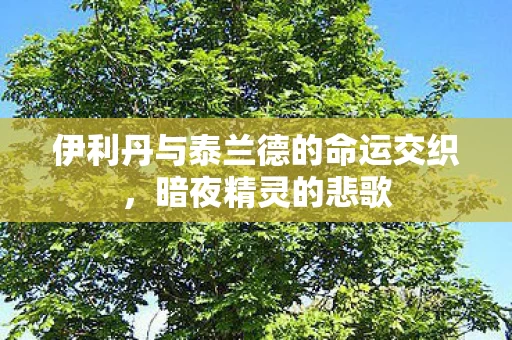 伊利丹与泰兰德的命运交织图片