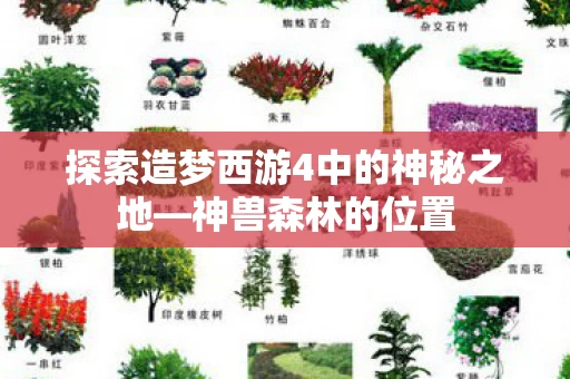 探索造梦西游4中的神秘之地图片