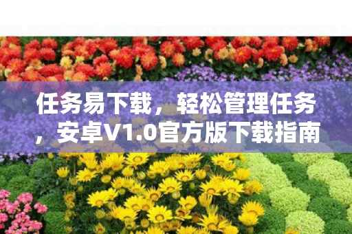 0官方版下载指南图片
