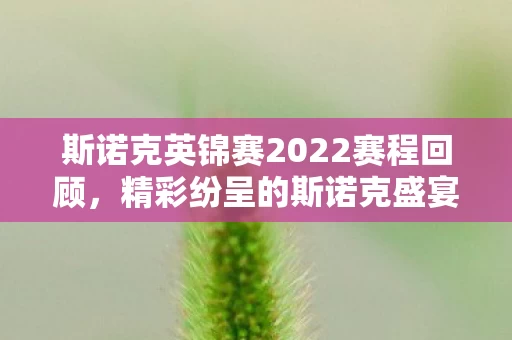 斯诺克英锦赛2022赛程回顾图片