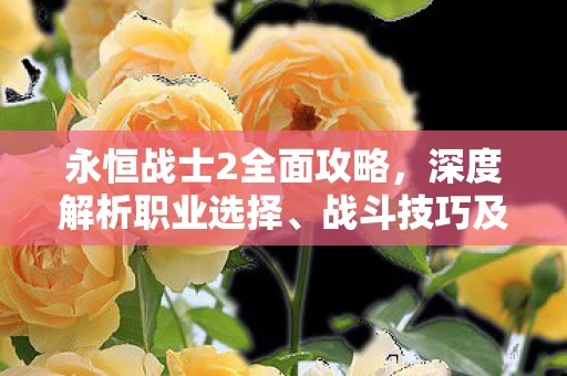 永恒战士2全面攻略图片