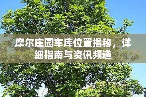 摩尔庄园车库位置揭秘图片