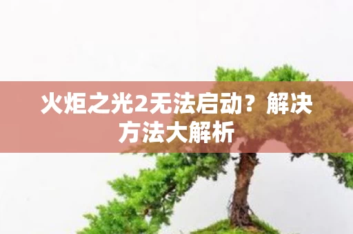 火炬之光2无法启动图片
