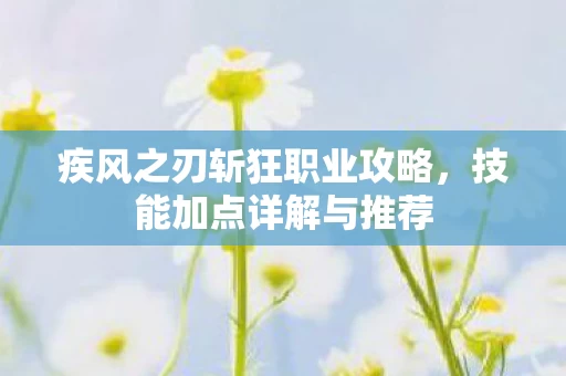 疾风之刃斩狂职业攻略图片