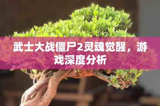 武士大战僵尸2灵魂觉醒图片