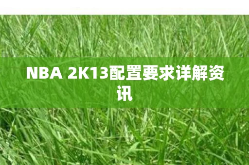 NBA 2K13配置要求详解资讯图片