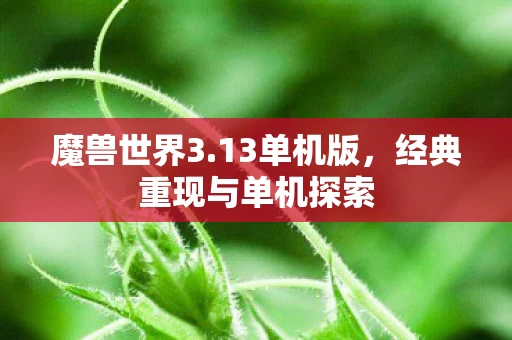 经典重现与单机探索图片