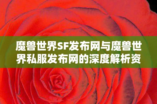 魔兽世界SF发布网与魔兽世界私服发布网的深度解析资讯图片