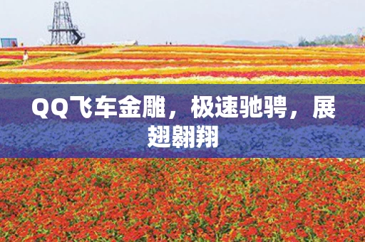 QQ飞车金雕图片