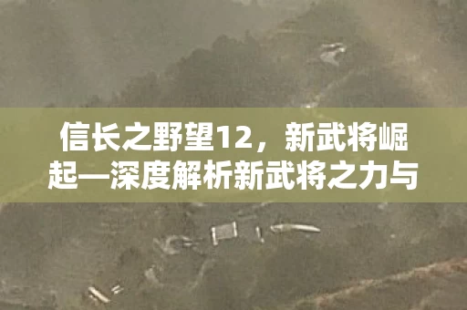 深度解析新武将之力与游戏策略革新图片