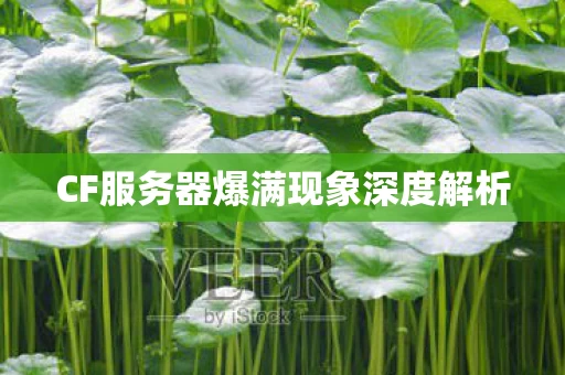 CF服务器爆满现象深度解析图片