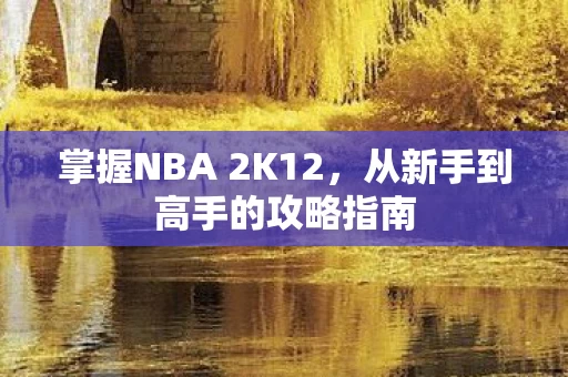 从新手到高手的攻略指南图片