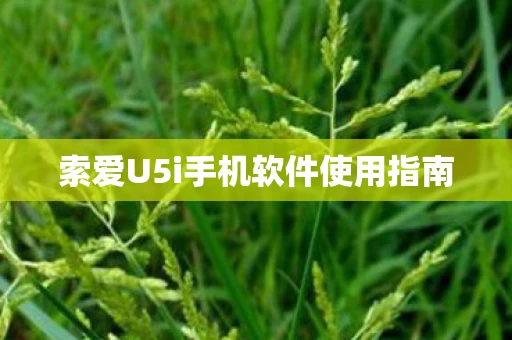 索爱U5i手机软件使用指南图片