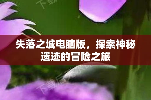 探索神秘遗迹的冒险之旅图片