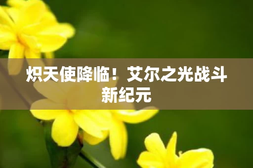 艾尔之光战斗新纪元图片