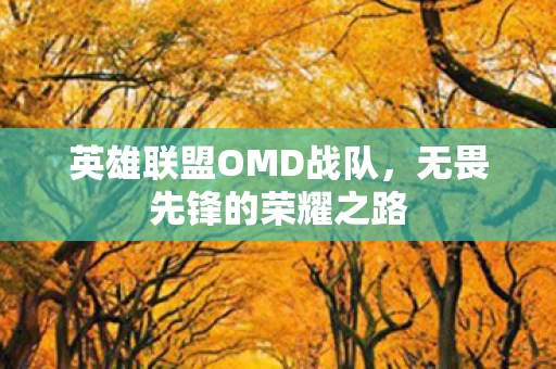 英雄联盟OMD战队图片
