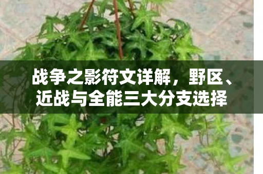 近战与全能三大分支选择图片