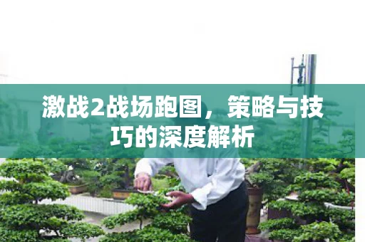 策略与技巧的深度解析图片