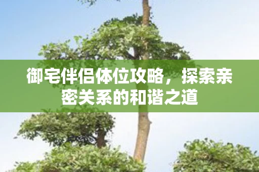探索亲密关系的和谐之道图片