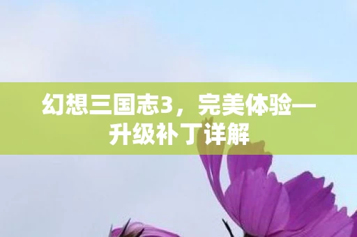幻想三国志3图片
