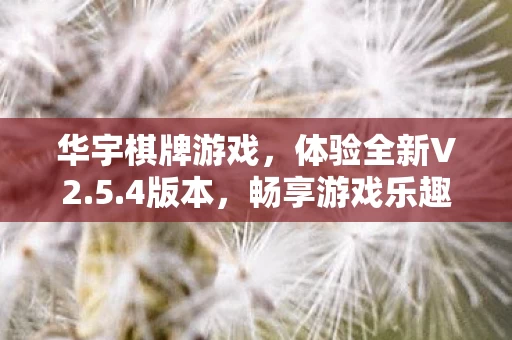 华宇棋牌游戏图片