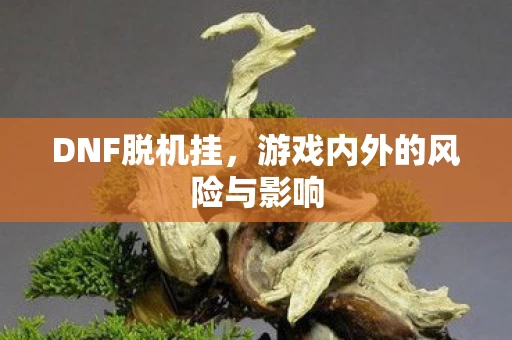 游戏内外的风险与影响图片