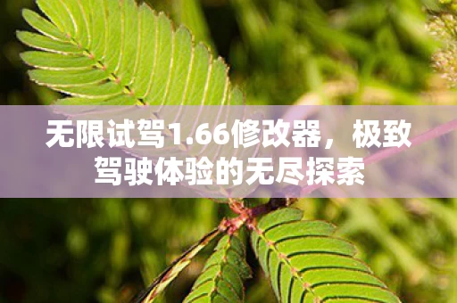 极致驾驶体验的无尽探索图片