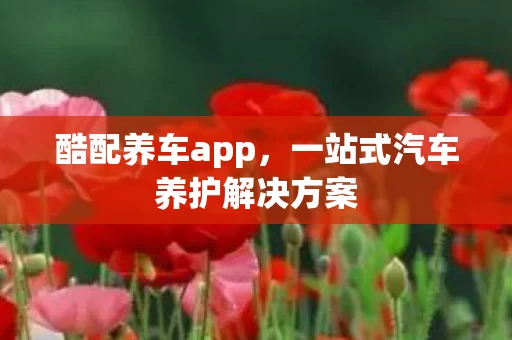 一站式汽车养护解决方案图片
