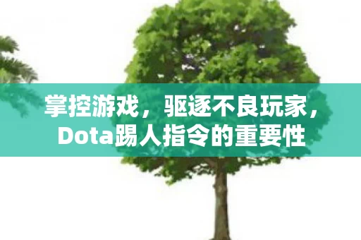Dota踢人指令的重要性图片