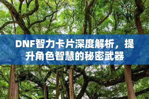 DNF智力卡片深度解析图片