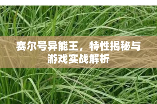 特性揭秘与游戏实战解析图片
