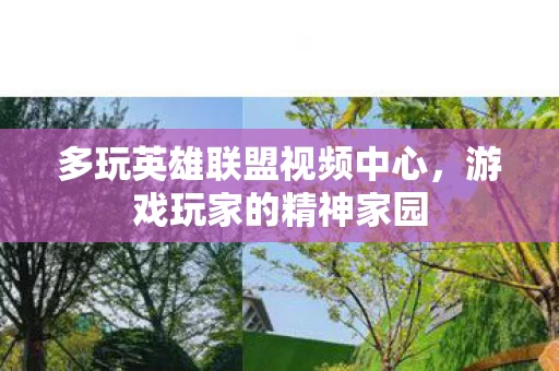 多玩英雄联盟视频中心图片