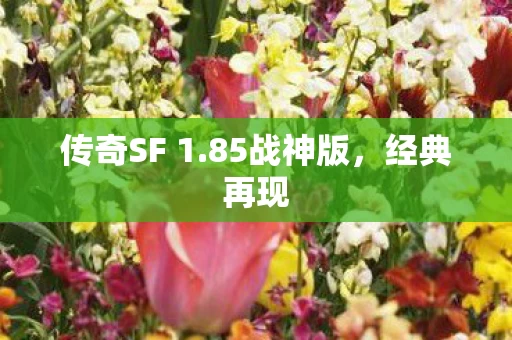 传奇SF 1图片