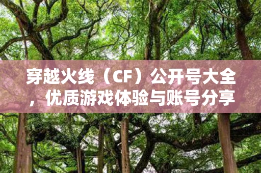 优质游戏体验与账号分享图片